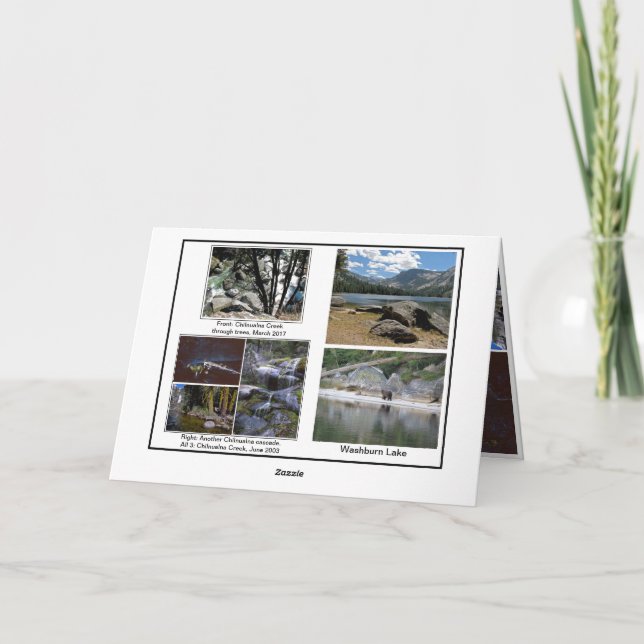 Folded Greeting Card (Back)