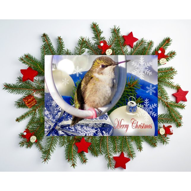 Folded Greeting Card (Creator Uploaded)