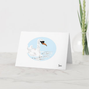 Folded Greeting Card : Swan Enjoying a swim