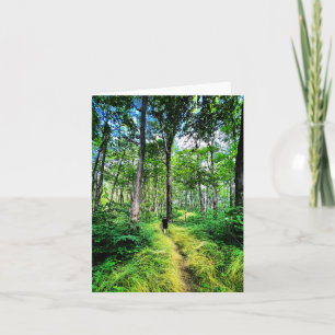 Folded greeting card with forest photo