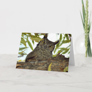 Folded greeting card with great horned owl