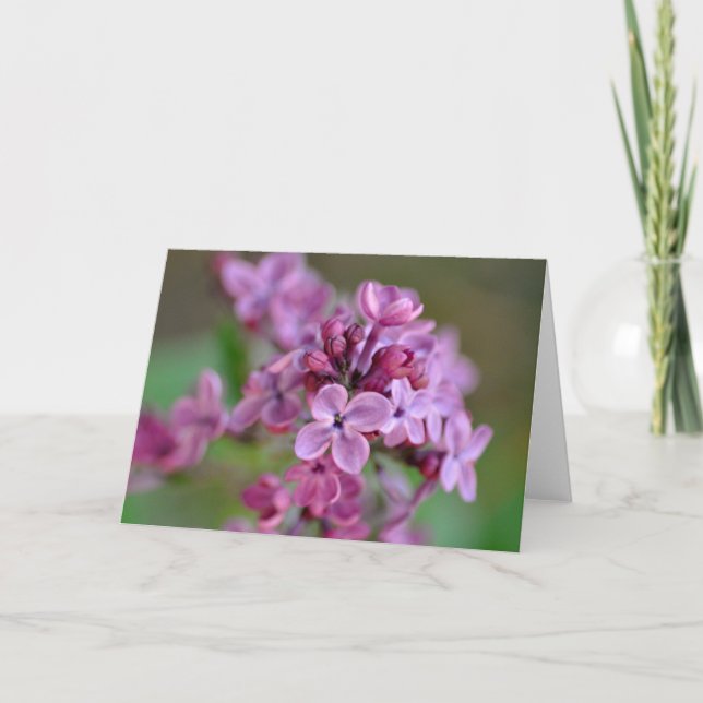 Folded Greeting Card with lilac flower photograph (Front)