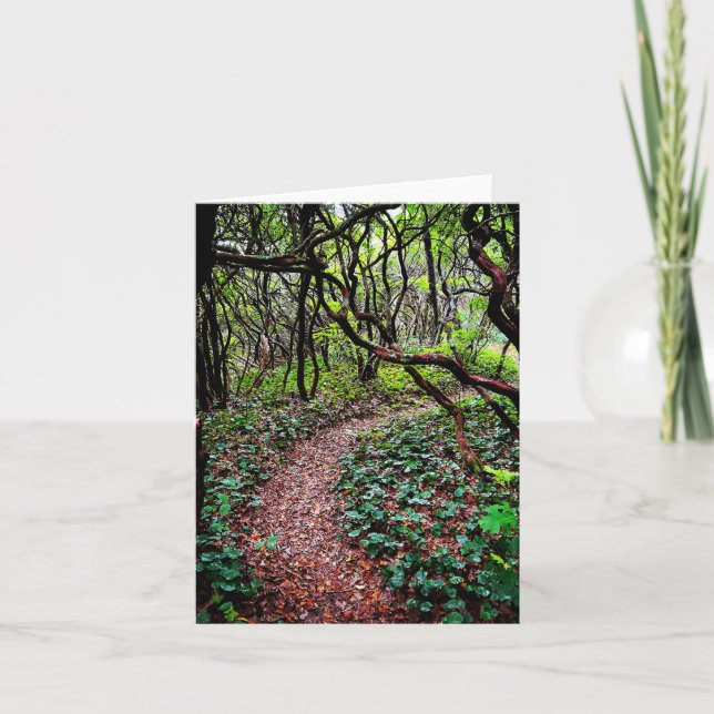 Folded greeting card with outdoor scene (Front)