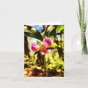 Folded greeting card with wildflower photo