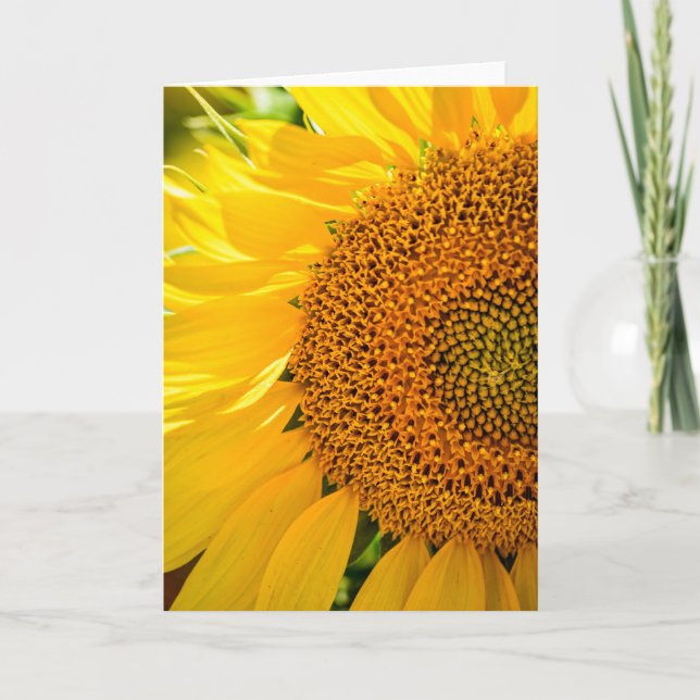 Folded Invitation (Front)