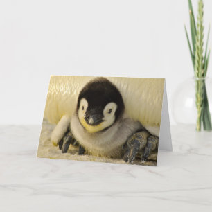 Folded Note Card BABY PENGUIN
