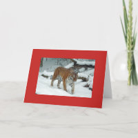 Folded Note Card TIGER IN SNOW