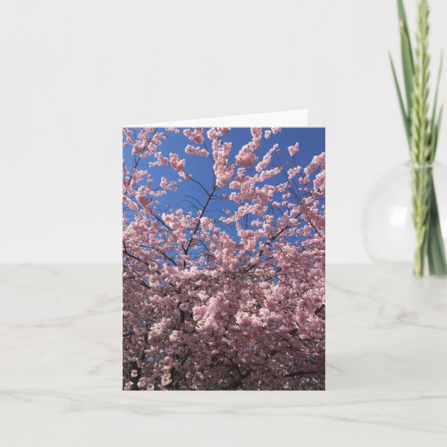 FOLDED NOTECARD - PINK SPRING (Front)