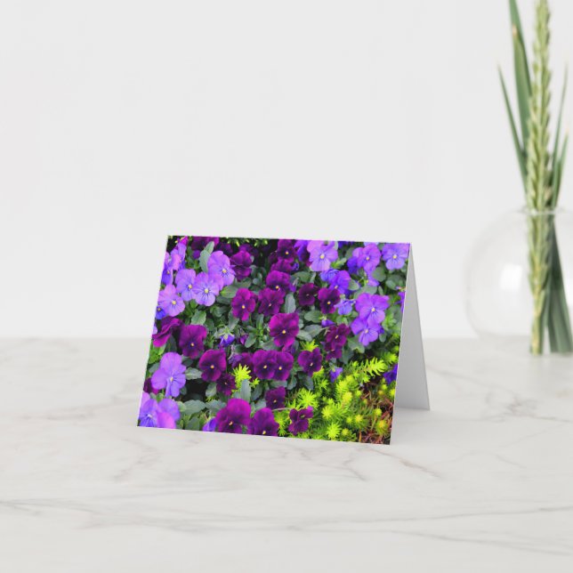 Folded Purple Pansies Note Card, Horizontal Card (Front)