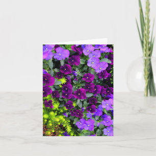 Folded Purple Pansies Note Card, Vertical Card