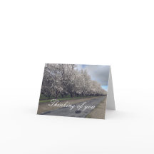 Folded Thank You Card