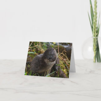 Folded Thank You Card