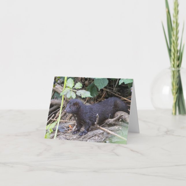 Folded Thank You Card (Front)