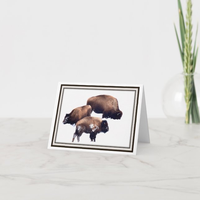 Folding Greeting Card - Bison in Winter (Front)