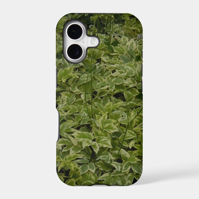Foliage (Back)