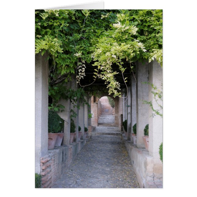 Foliage Covered Walkway, Spain (Front)