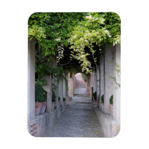 Foliage Covered Walkway, Spain Magnet