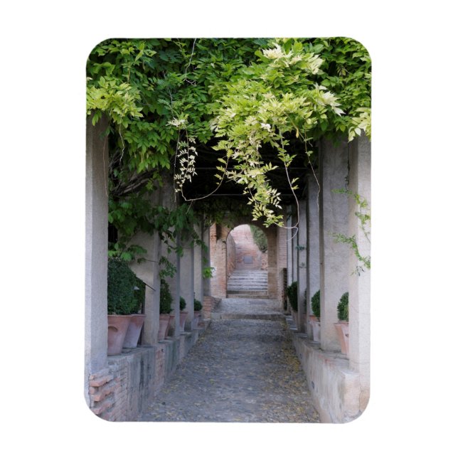 Foliage Covered Walkway, Spain Magnet (Vertical)