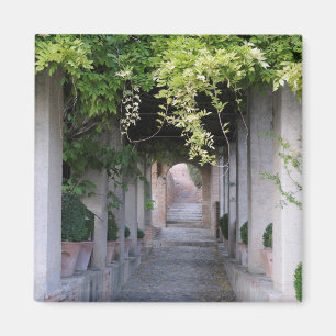 Foliage Covered Walkway, Spain Magnet