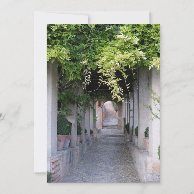 Foliage Covered Walkway, Spain Thank You Card (Front)