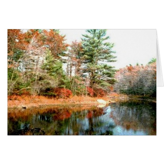 Foliage in Peak Colours (Front Horizontal)