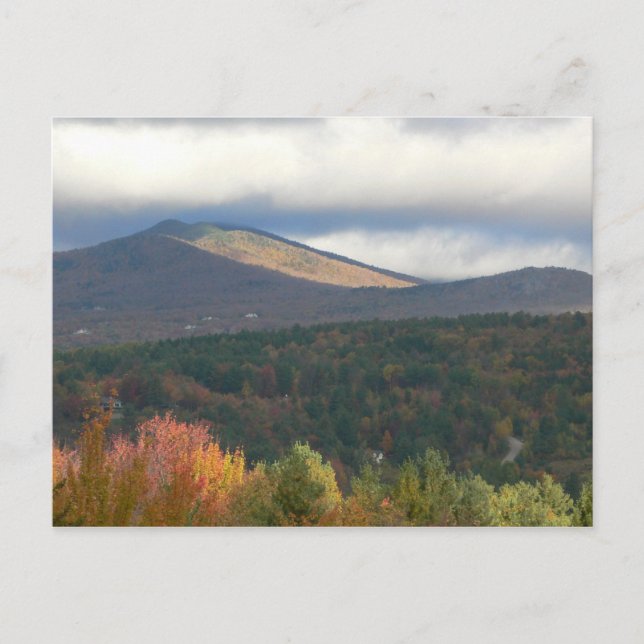 Foliage In Stowe Vermont Postcard (Front)
