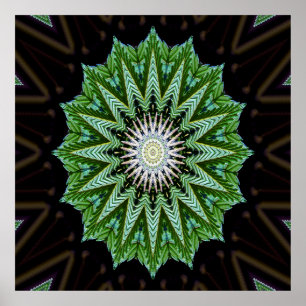 Foliage Mandala....... Poster