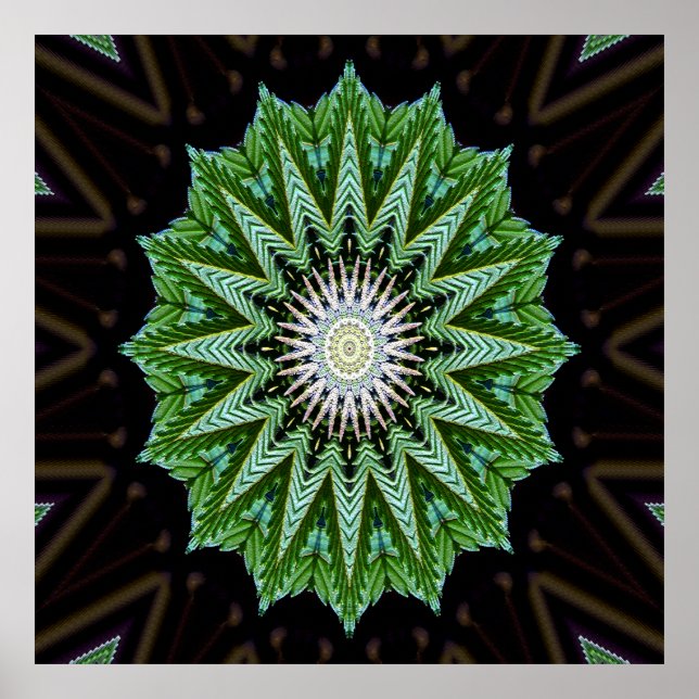 Foliage Mandala....... Poster (Front)