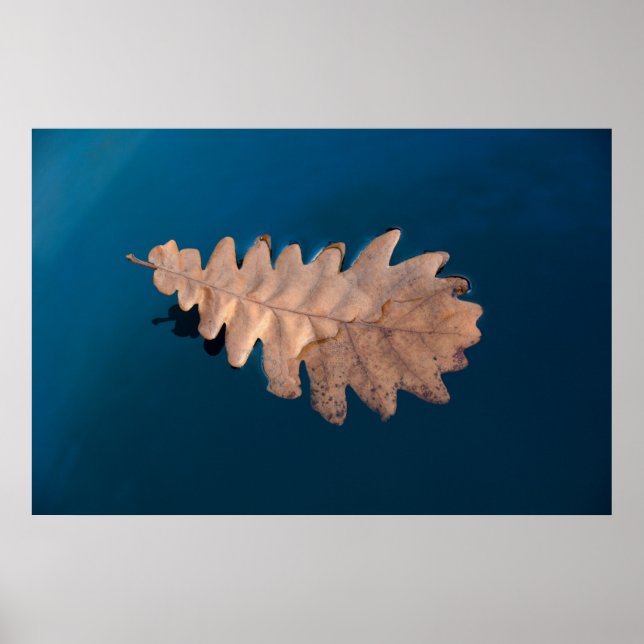 Foliage Poster (Front)