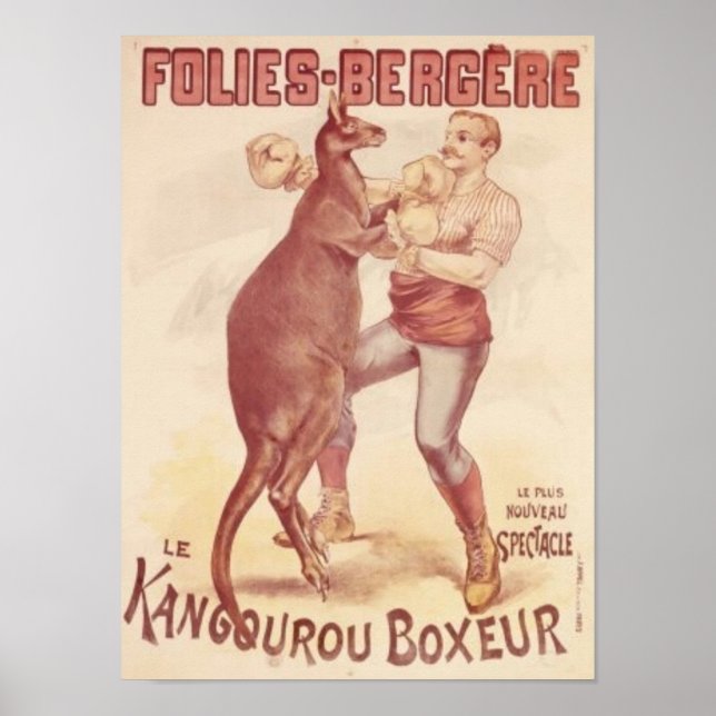 Folies Bergere -- Boxing kangaroos Poster (Front)