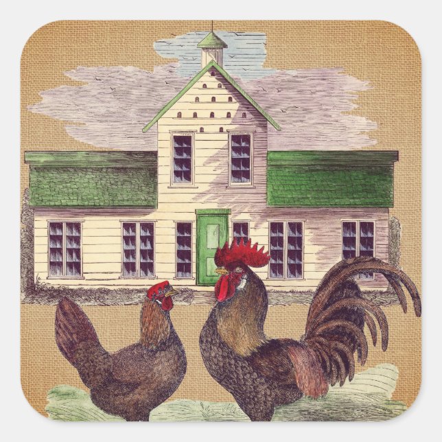 Folk Art Farmyard Chickens Rustic Design Square Sticker (Front)