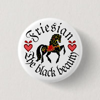 Folk Friesian/Friesian red gold black stallion