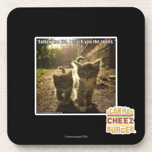 Follow Me Kid Coaster