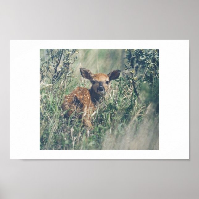 Follow Me. Poster (Front)