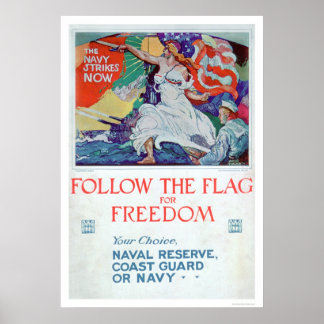 Follow the Flag of Freedom (US02179) Poster