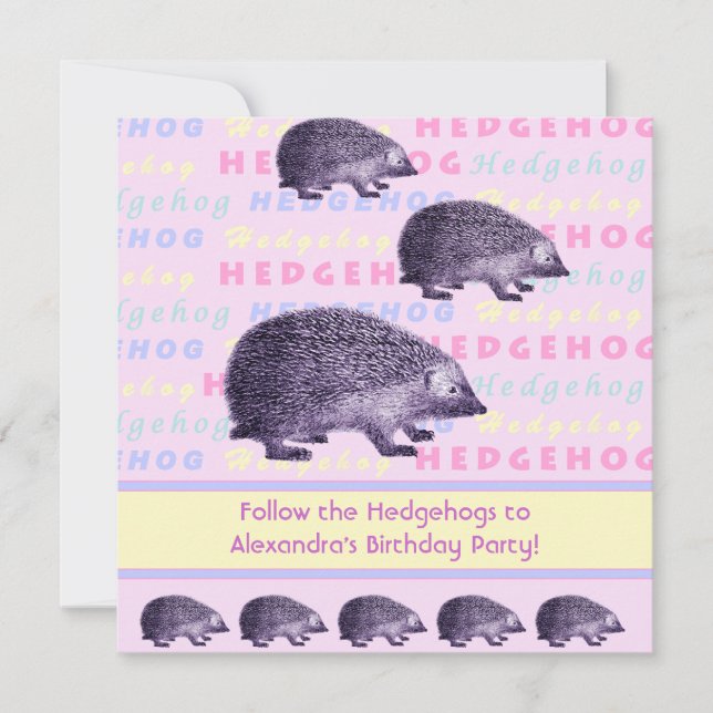 Follow the Hedgehogs Little Girl's Birthday Party Invitation (Front)
