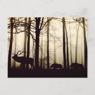 Follow the Leader Postcard