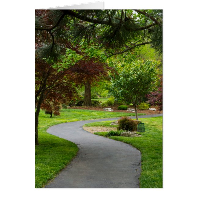 Follow The Pathway (Front)