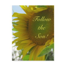 Follow the Son! Christian Message on a Postcard