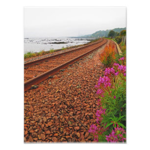 Follow the Tracks Photo Print