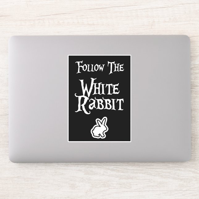 Follow the White Rabbit (Computer)