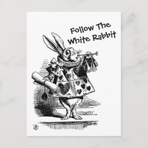 Follow The White Rabbit CC0257 Postcard