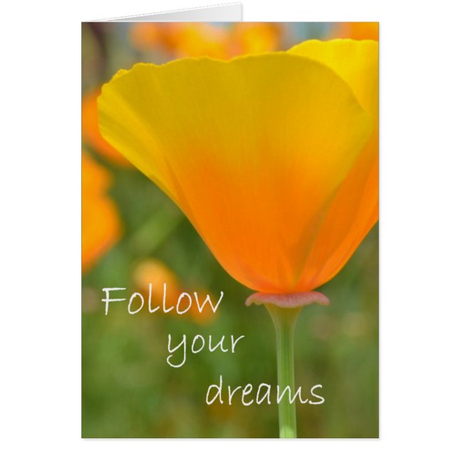 Follow Your Dreams (Front)