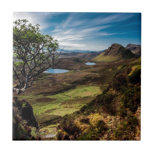 Follow your dreams! tile (Front)