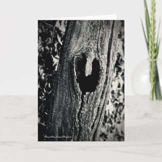 Follow Your Heart Greeting Card With Quote