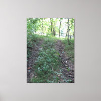 Follow Your Heart Off Road! on a