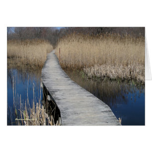 Follow Your Path: Plum Island, MA