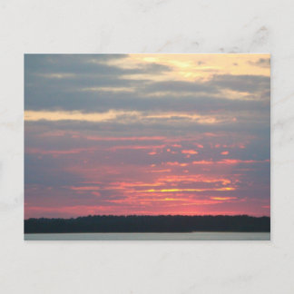 Folly Beach South Carolina Postcard