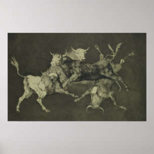 Folly of the Bulls Poster