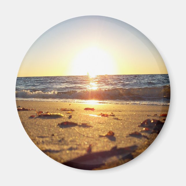 folly sunrise magnet (Front)